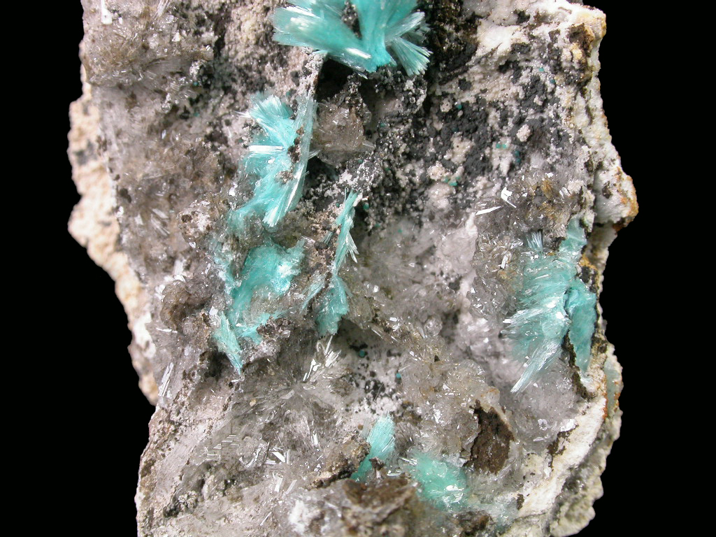 Aurichalcite & Hemimorphite
