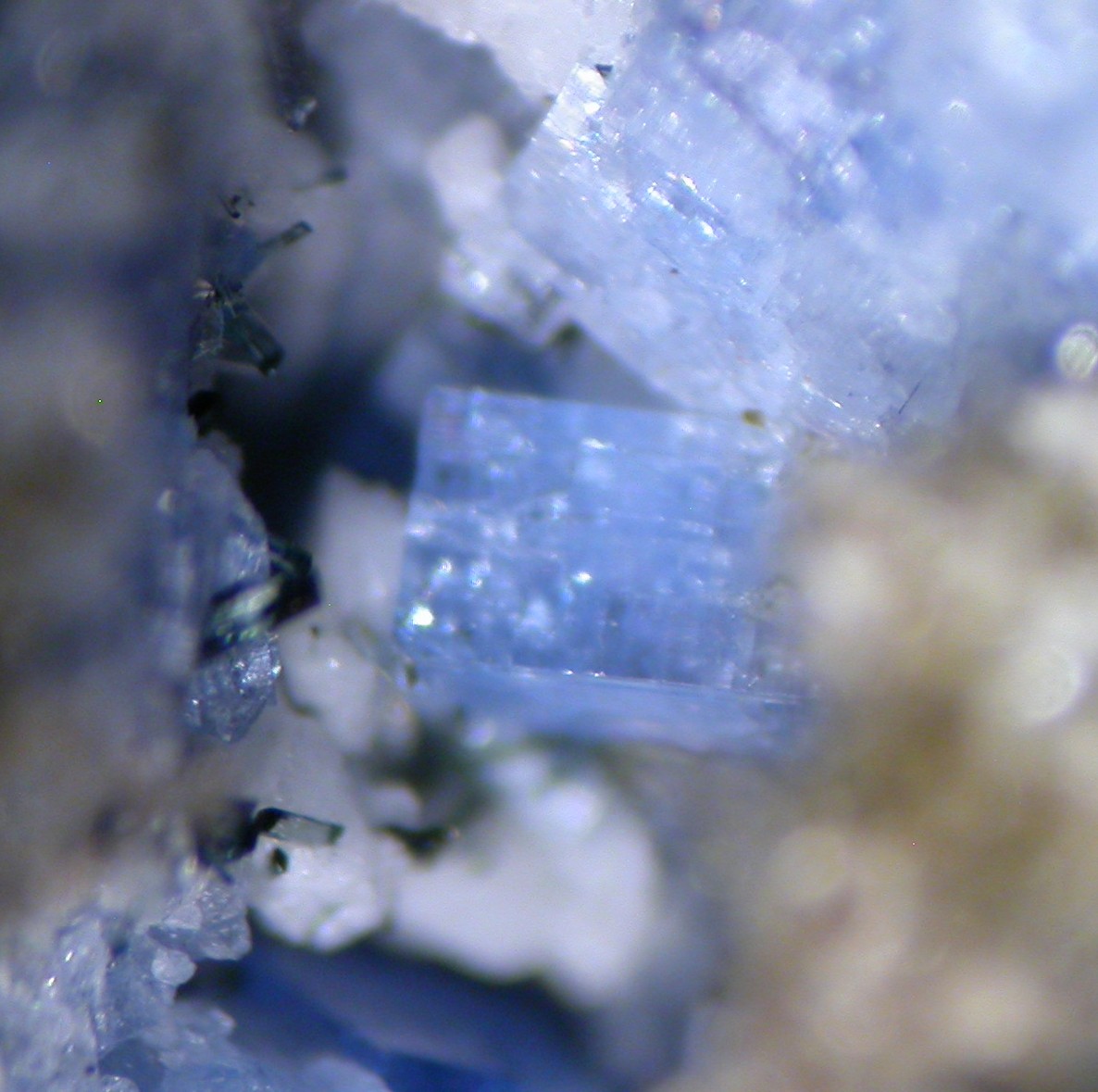 Carletonite Richterite Tainiolite Narsarsukite & Calcite