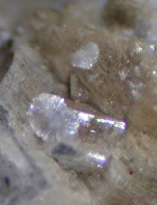 Charleshatchettite & Donnayite-(Y)