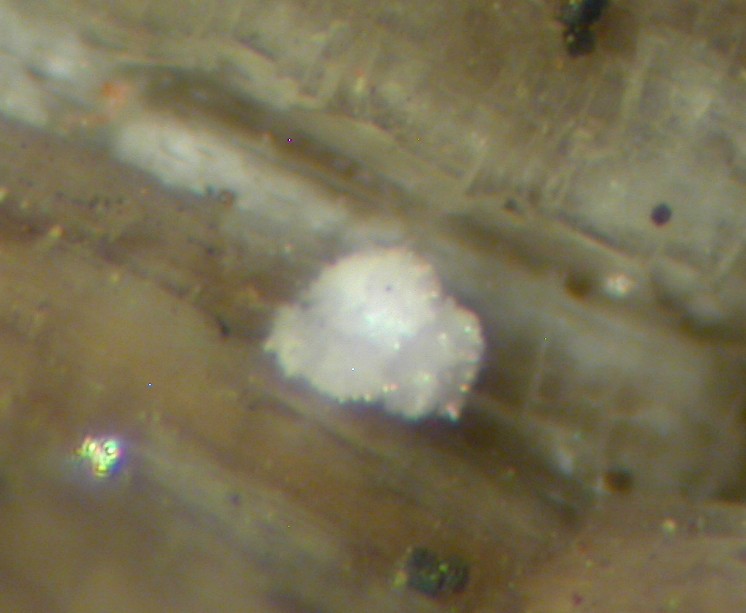 Charleshatchettite & Donnayite-(Y)