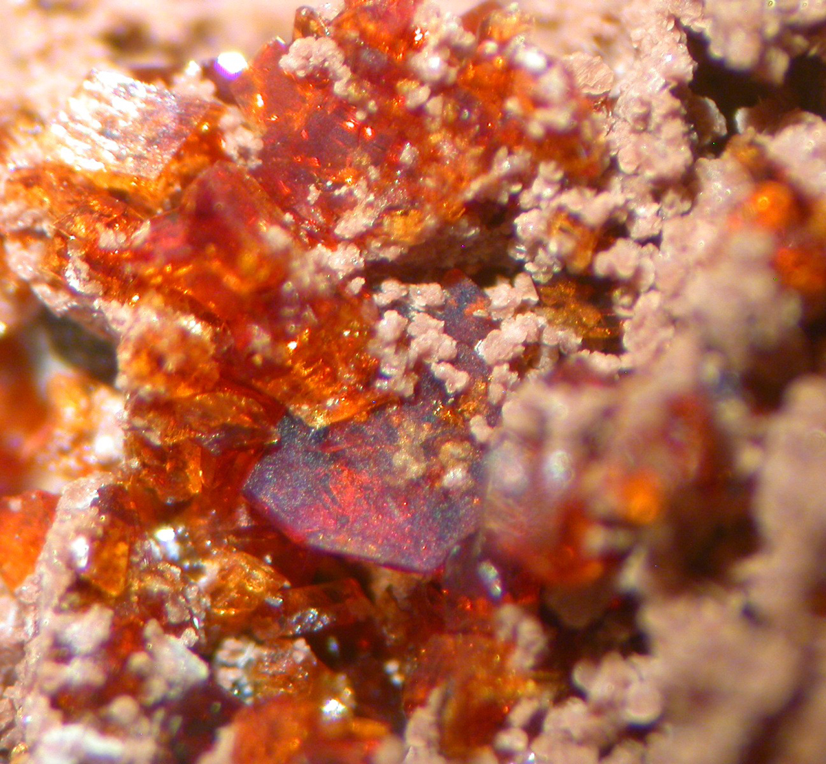 Sérandite Manganoneptunite Catapleiite & Epididymite