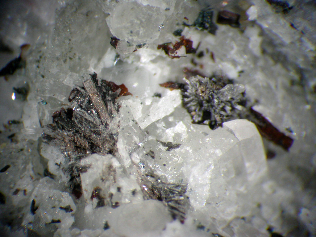Haineaultite Tuperssuatsiaite & Monteregianite