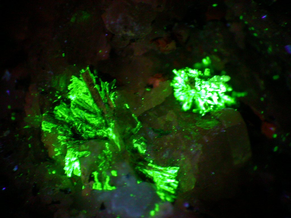 Haineaultite Tuperssuatsiaite & Monteregianite