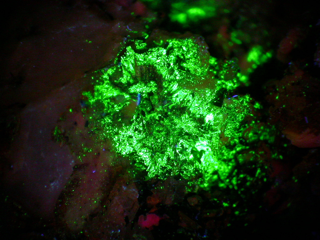 Haineaultite Tuperssuatsiaite & Monteregianite