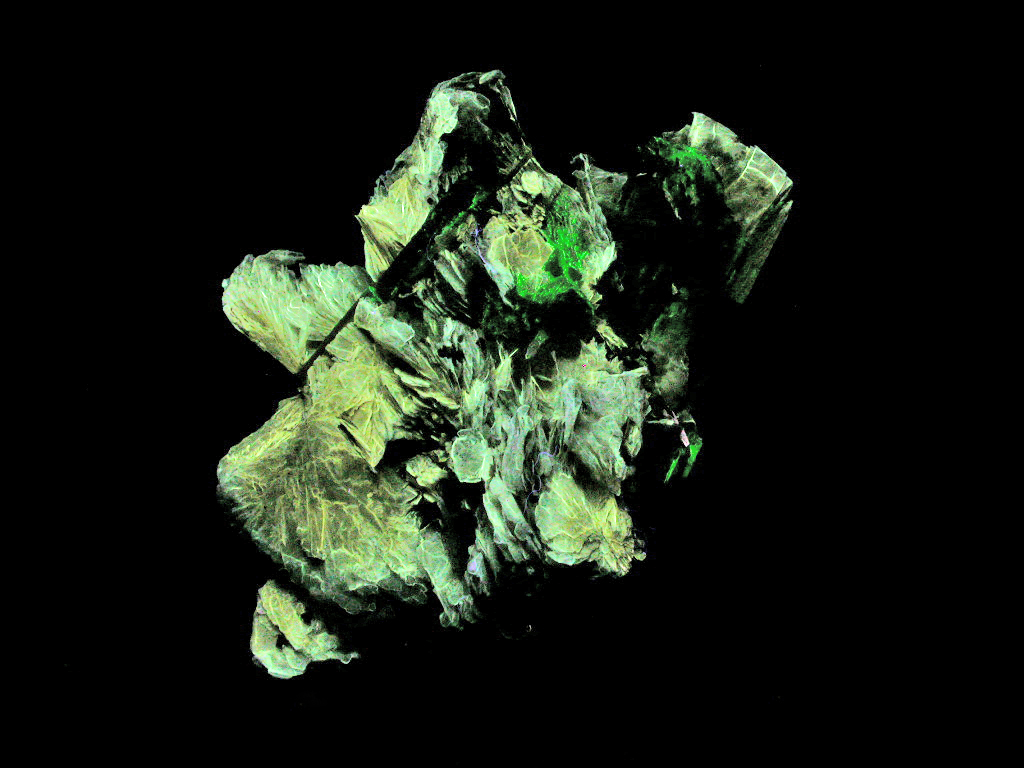 Schizolite Analcime & Polylithionite