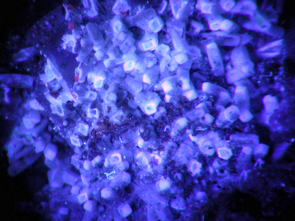 Analcime & Gonnardite