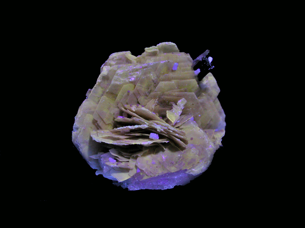 Polylithionite