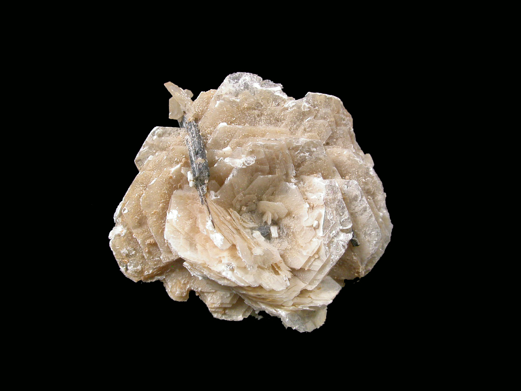 Polylithionite
