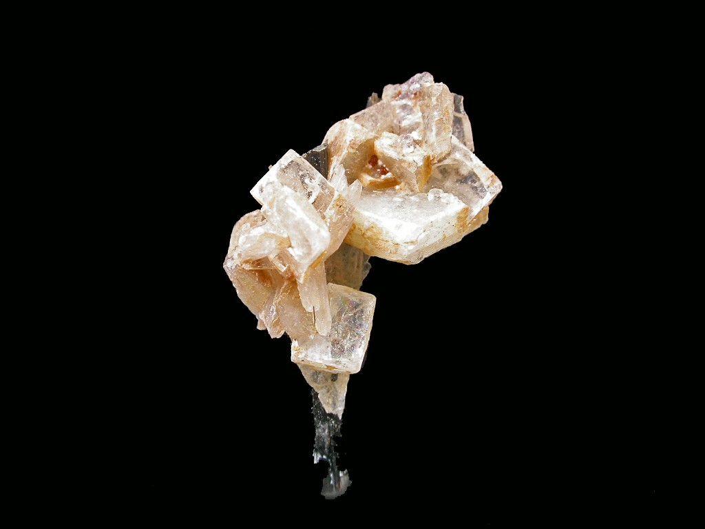 Leucophanite & Aegirine