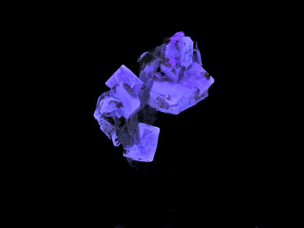 Leucophanite & Aegirine