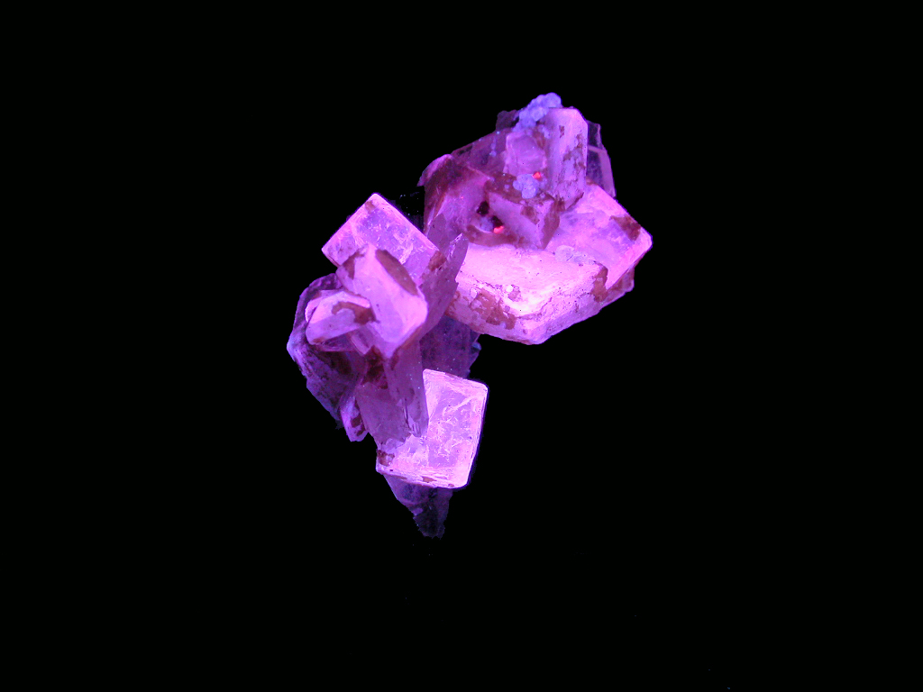 Leucophanite & Aegirine