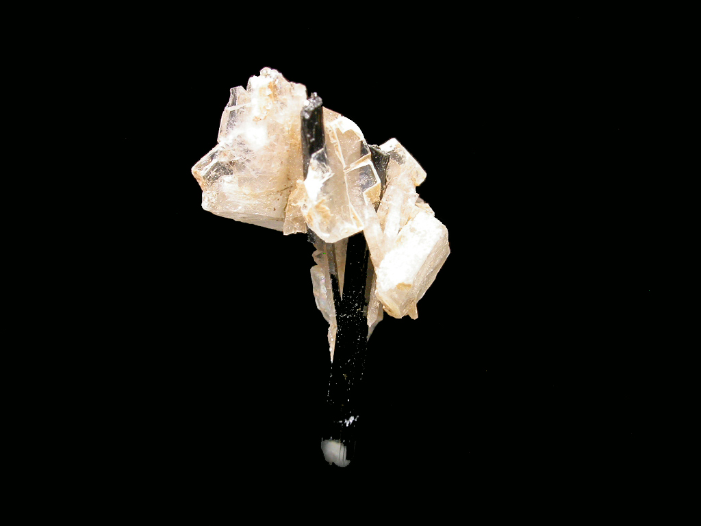 Leucophanite & Aegirine