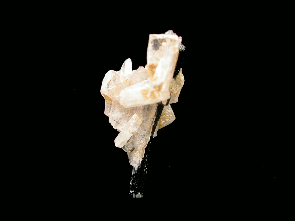 Leucophanite & Aegirine