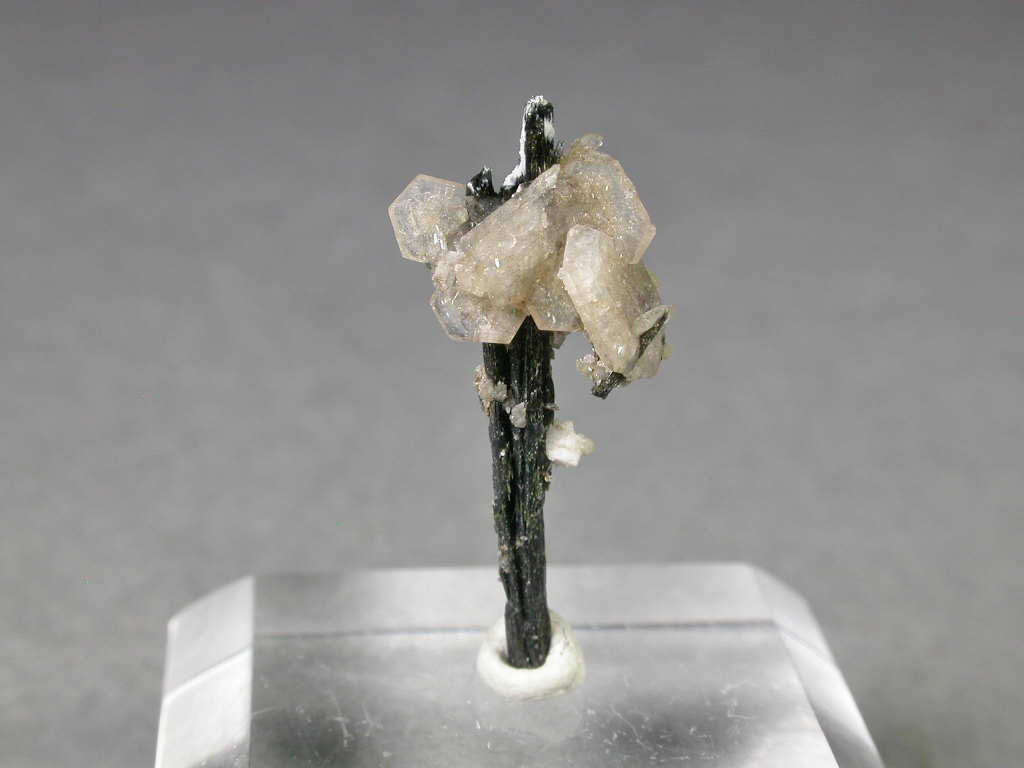 Catapleiite & Aegirine