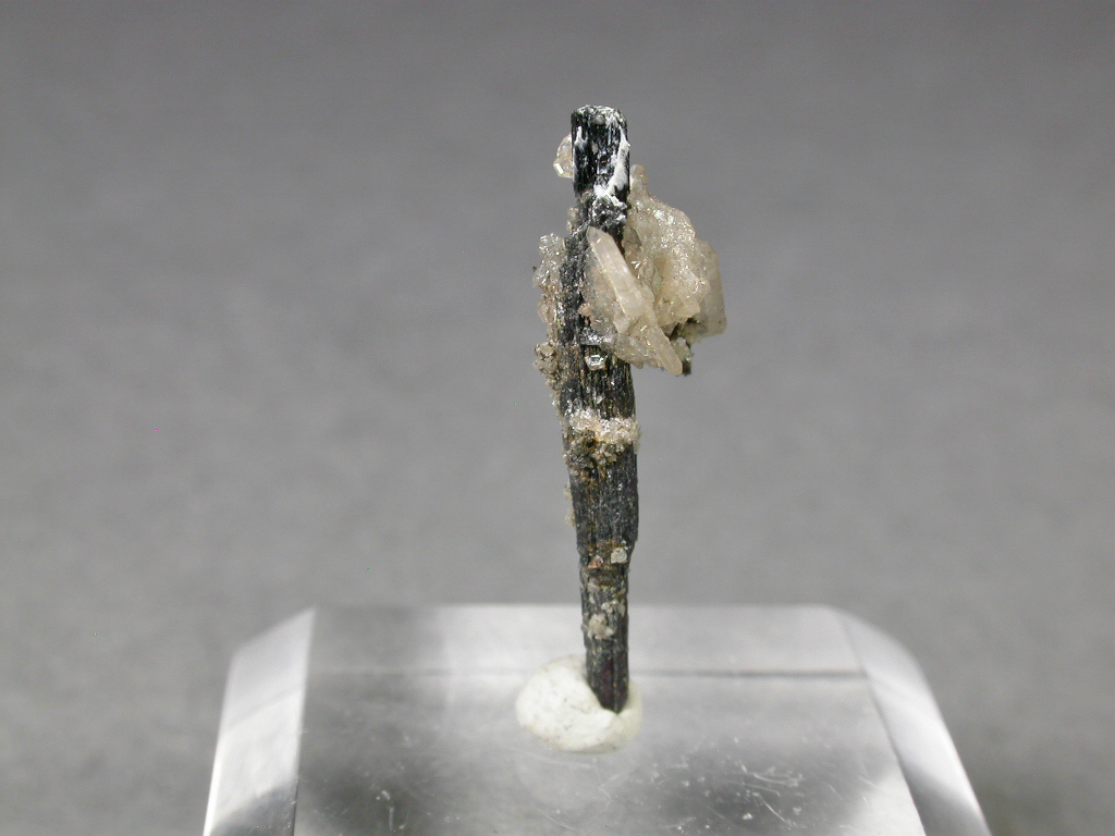 Catapleiite & Aegirine