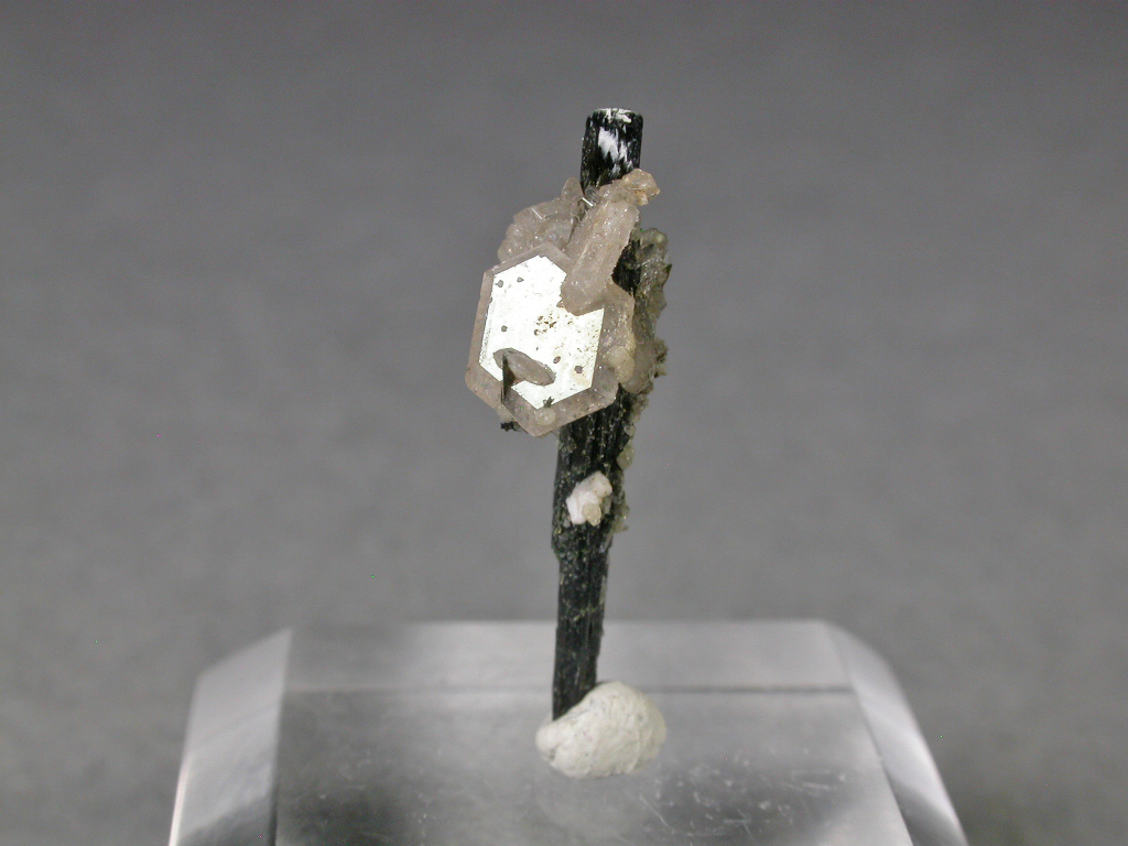 Catapleiite & Aegirine