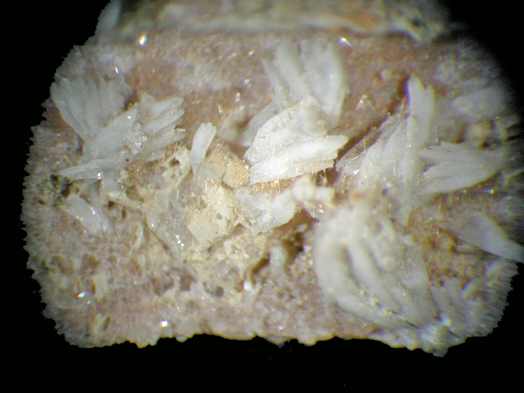Schizolite Rhabdophane-(Ce) & Leucophanite