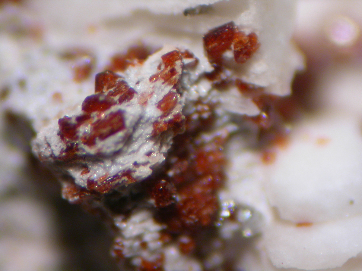 Aegirine & Manganoneptunite