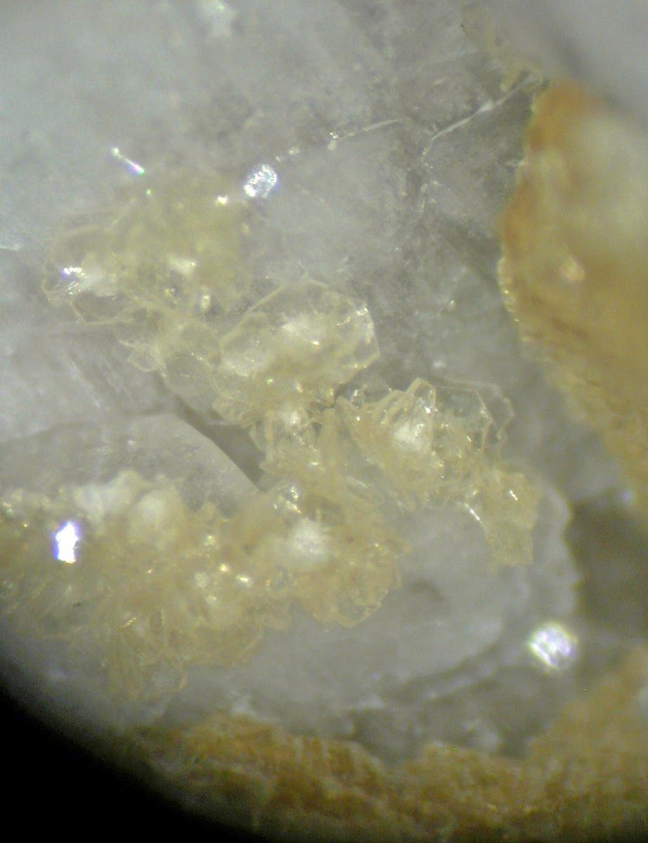 Alicewilsonite-(YCe)