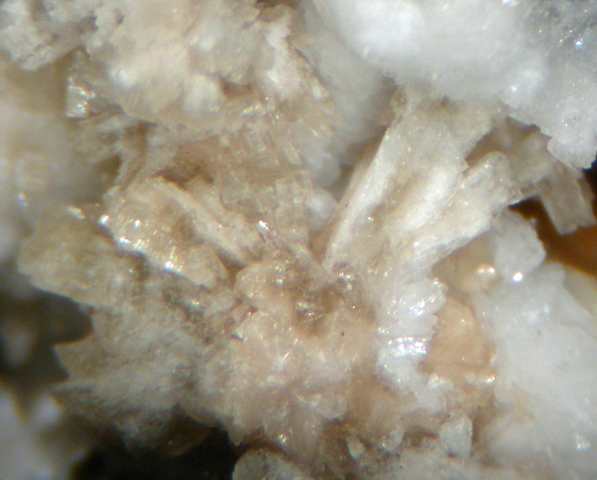 Horváthite-(Y)