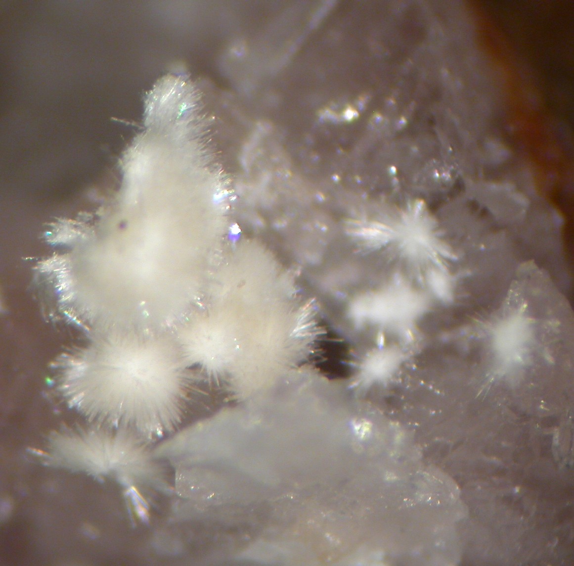 Lintisite Lovozerite & Ussingite