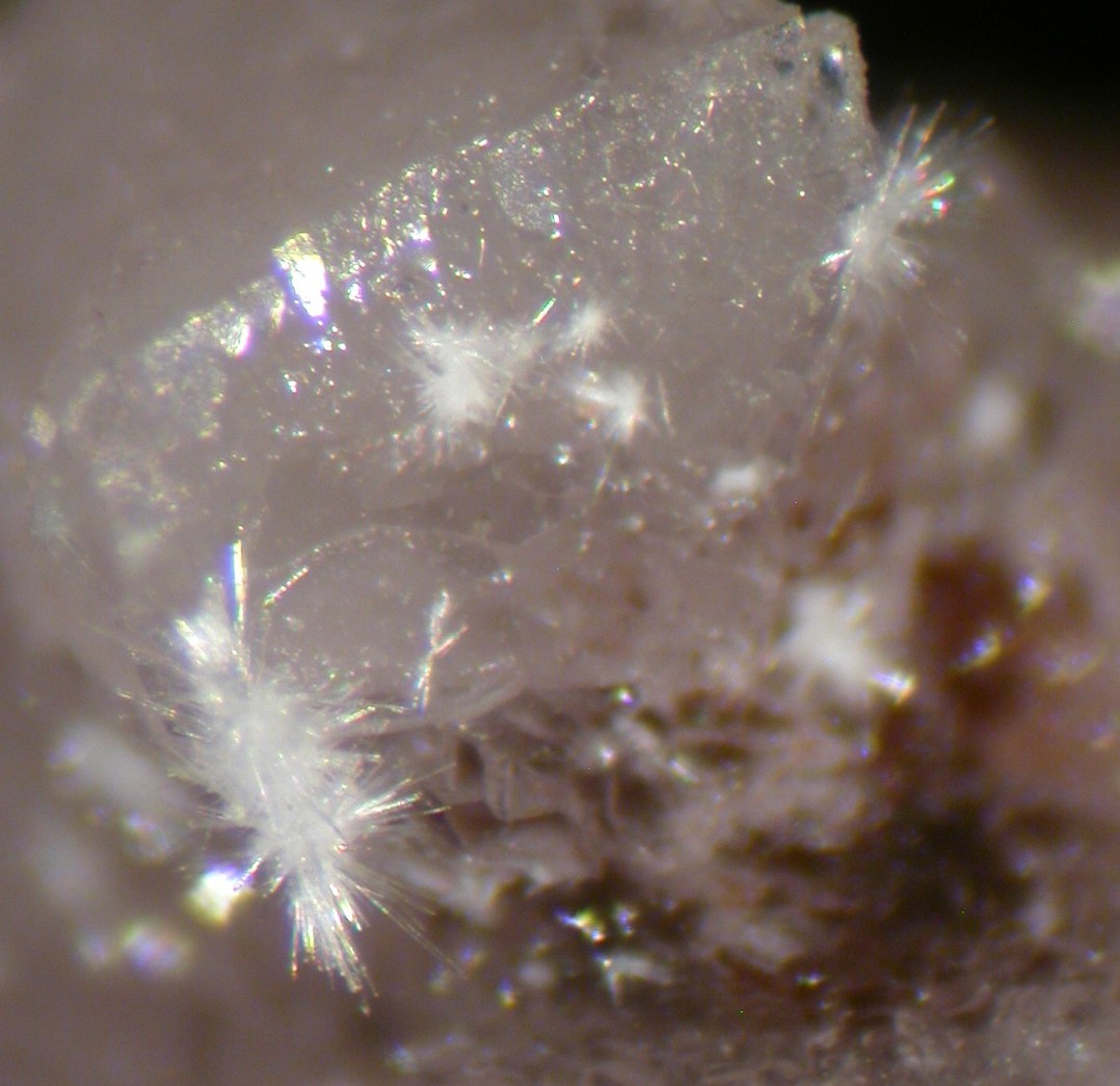 Lintisite Lovozerite & Ussingite