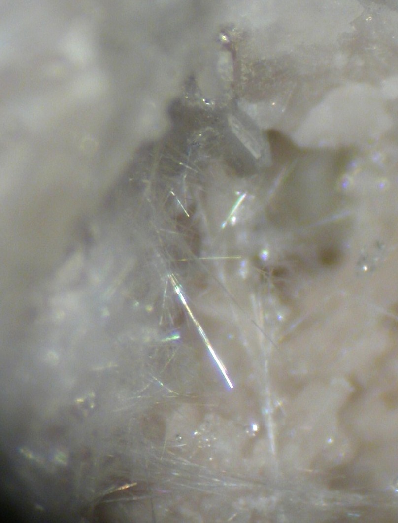 Mordenite & Clinoptilolite-Ca