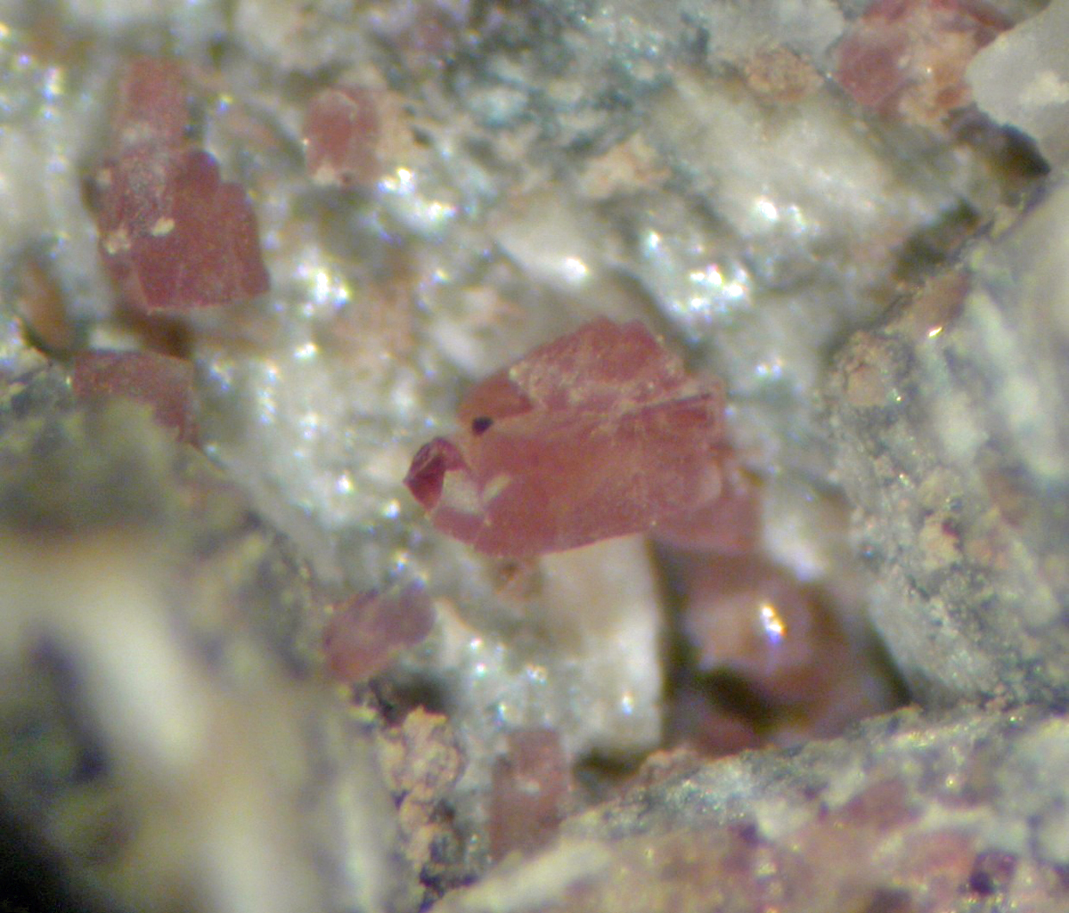 Petarasite