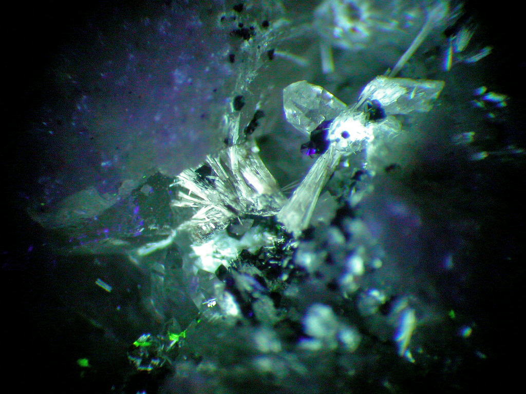 Lorenzenite & Monteregianite