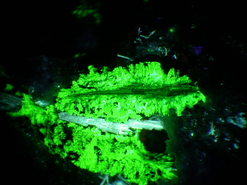 Lorenzenite & Monteregianite