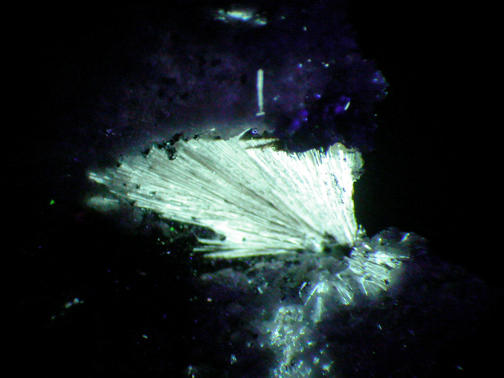 Lorenzenite & Monteregianite