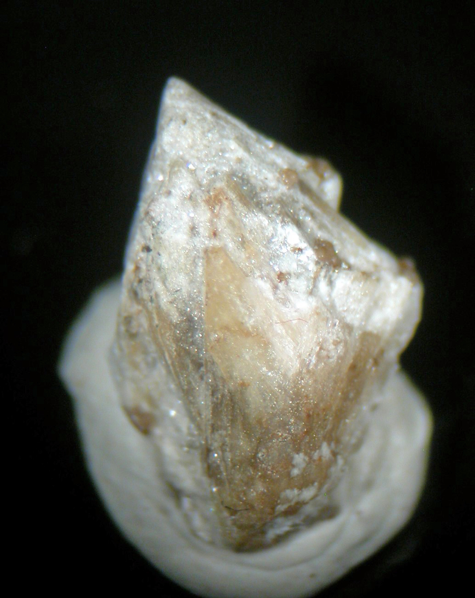 Shomiokite-(Y) & Adamsite-(Y)