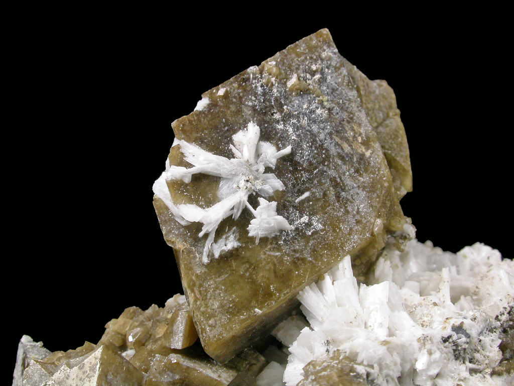 Siderite Albite Catapleiite Thorbastnäsite & Franconite
