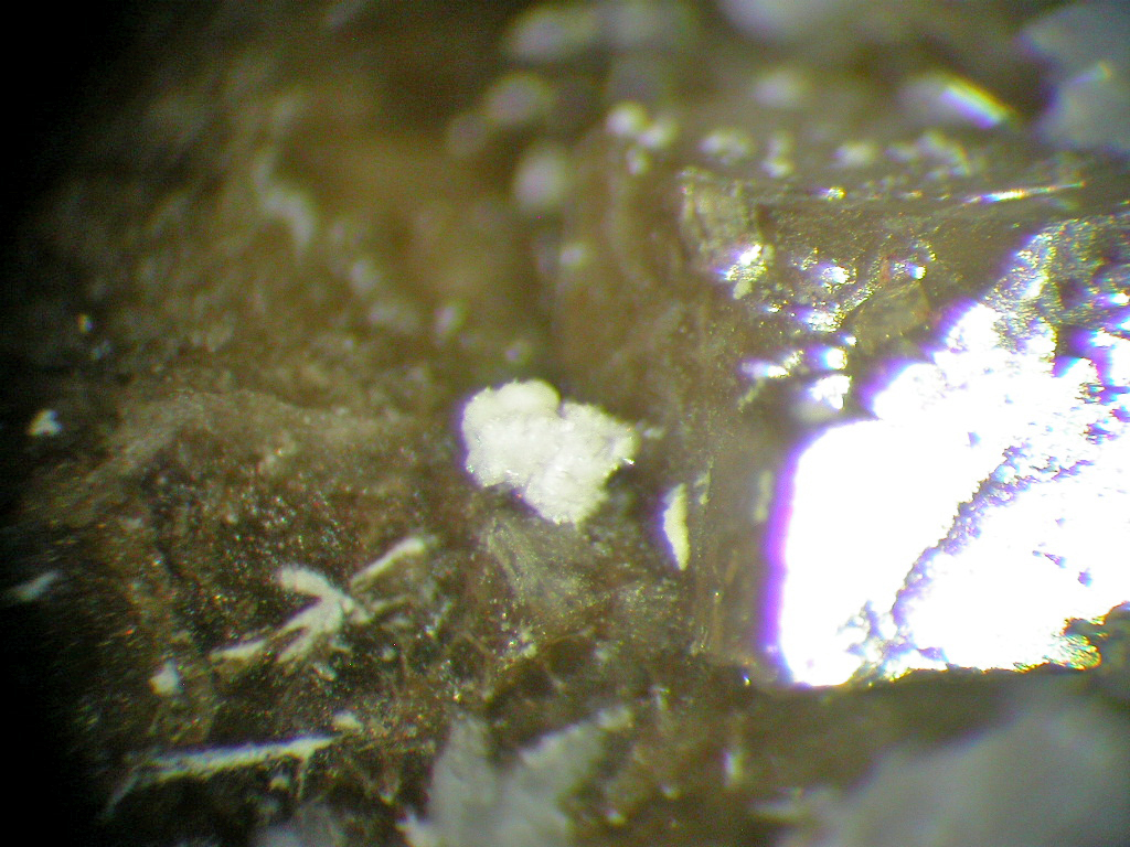 Siderite Albite Catapleiite Thorbastnäsite & Franconite