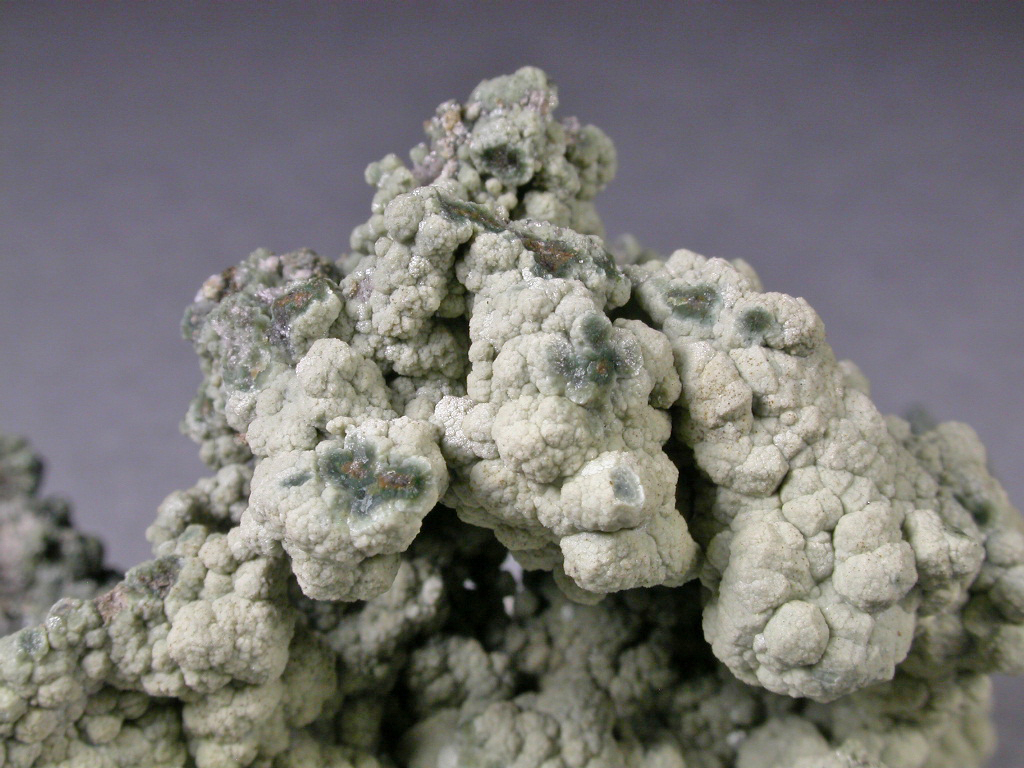 Analcime & Chamosite