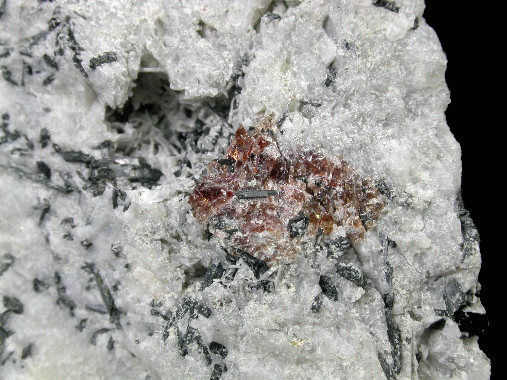Lamprophyllite Cancrisilite & Eudialyte