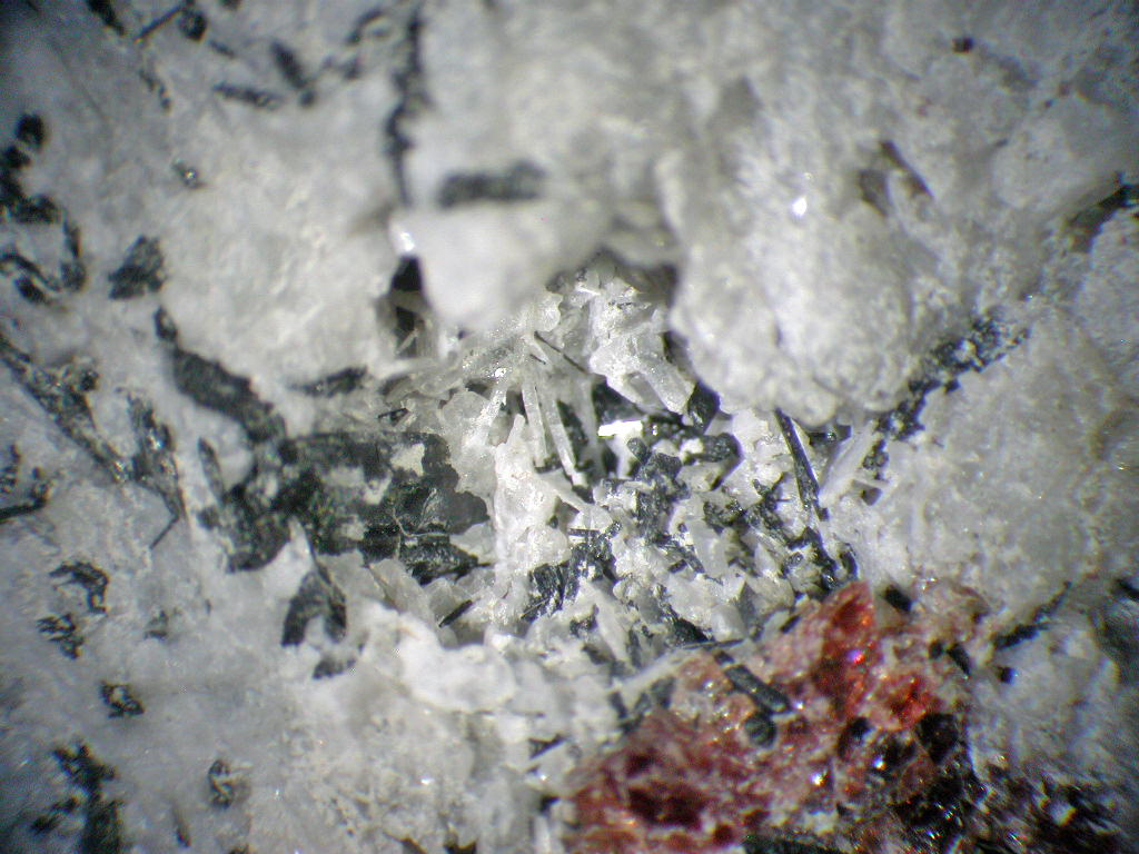 Lamprophyllite Cancrisilite & Eudialyte