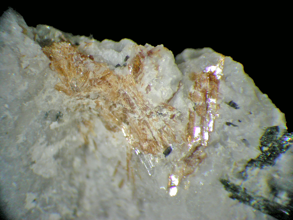 Lamprophyllite Cancrisilite & Eudialyte