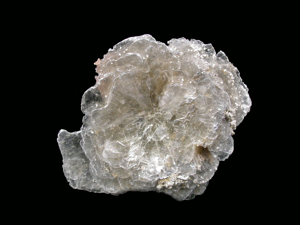 Polylithionite