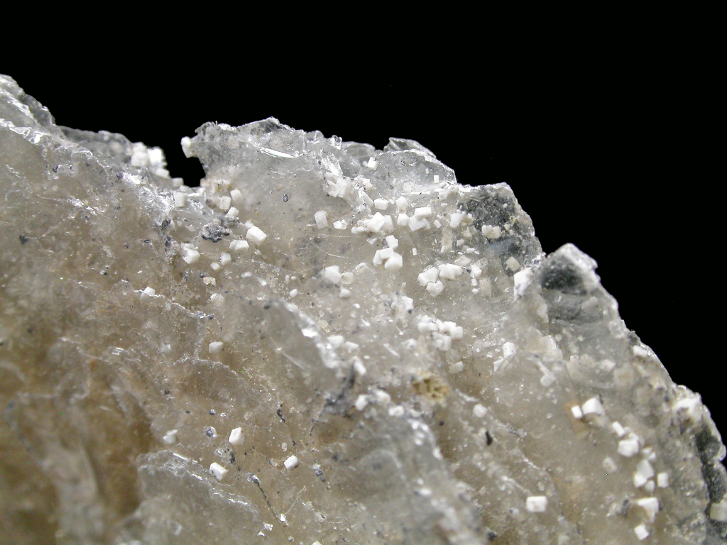 Polylithionite