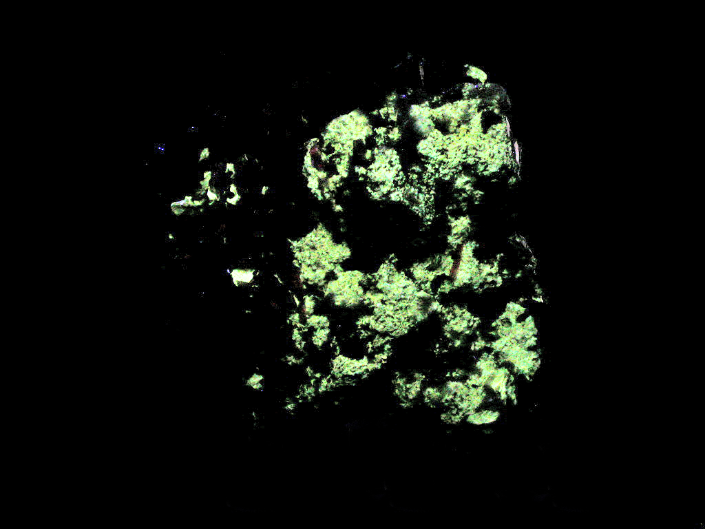 Natrolite & Polylithionite