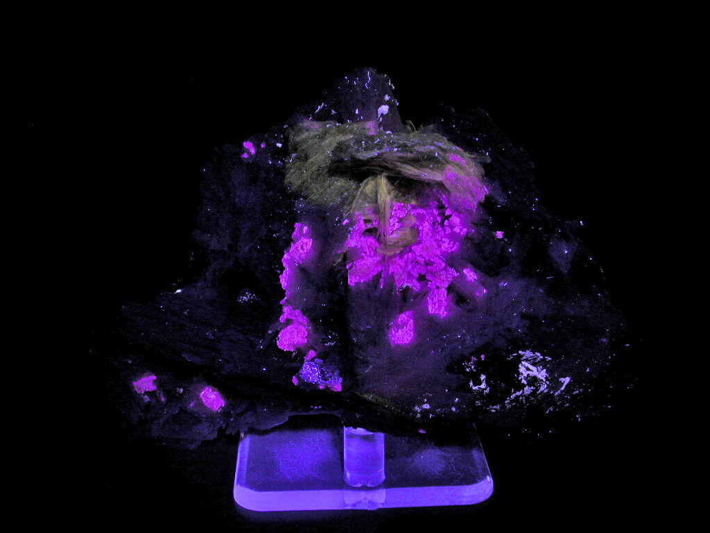 Schizolite & Leucophanite