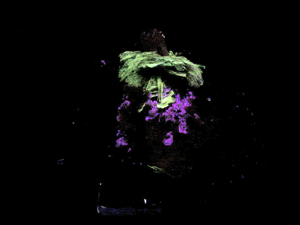 Schizolite & Leucophanite