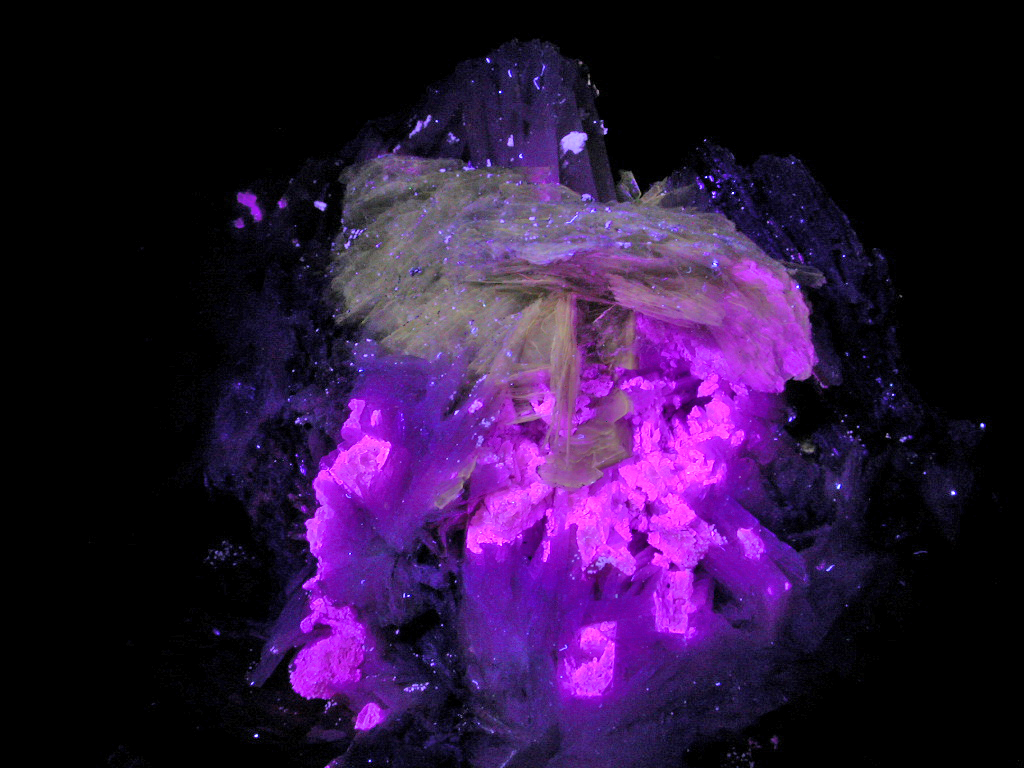 Schizolite & Leucophanite