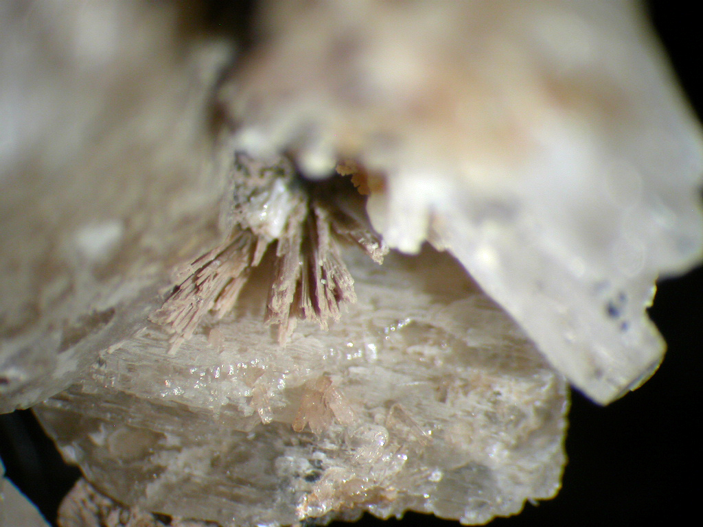 Rhabdophane-(Ce) Catapleiite & Sérandite