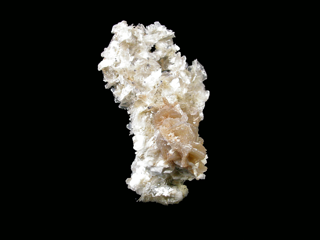 Polylithionite