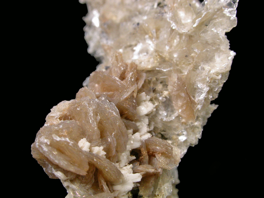 Polylithionite