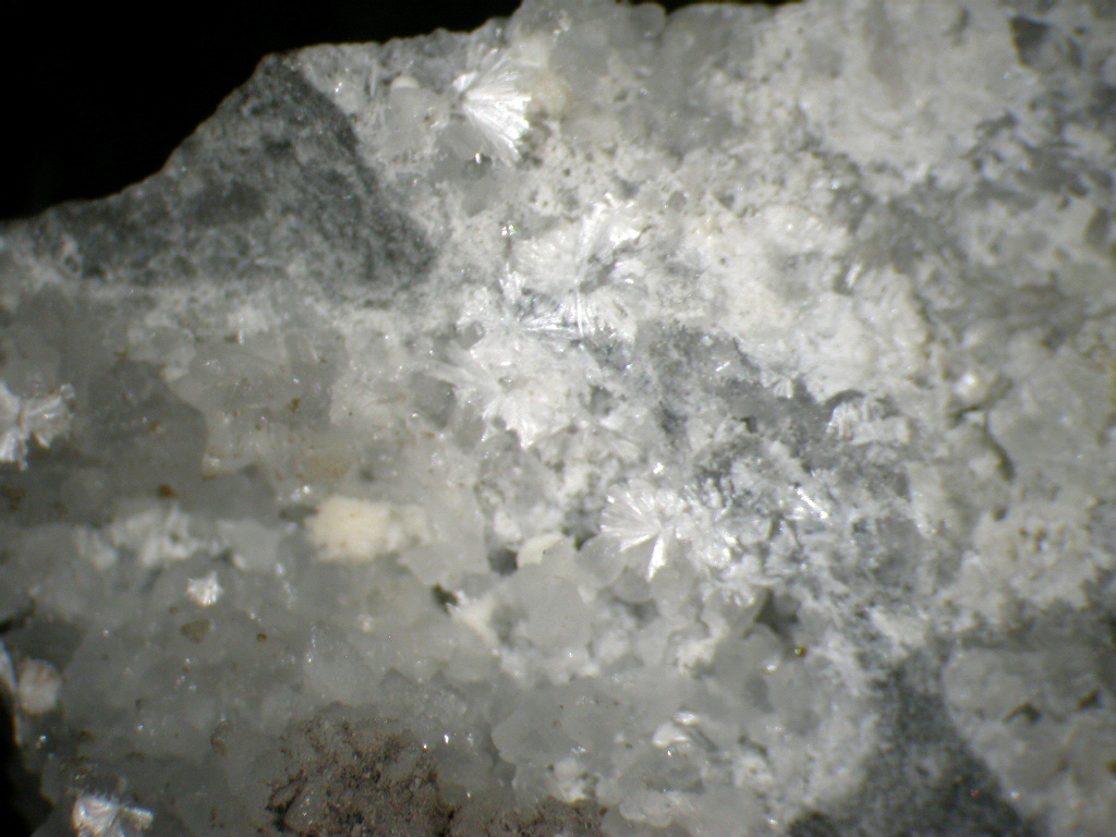 Dresserite