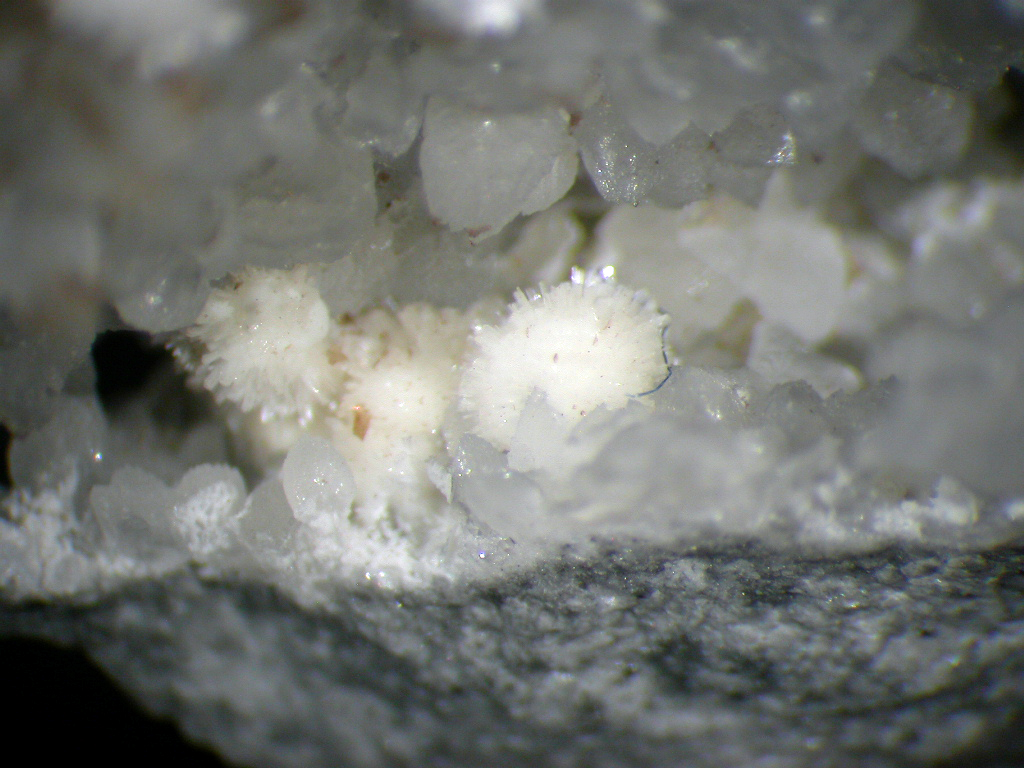 Dresserite
