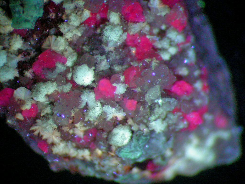 Weloganite & Dresserite